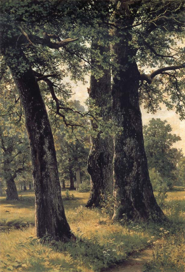 Ivan Shishkin Oak